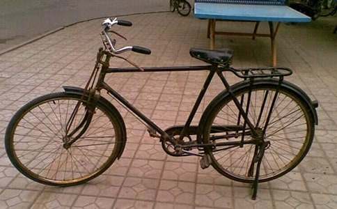 我學會了騎自行車作文(必備)