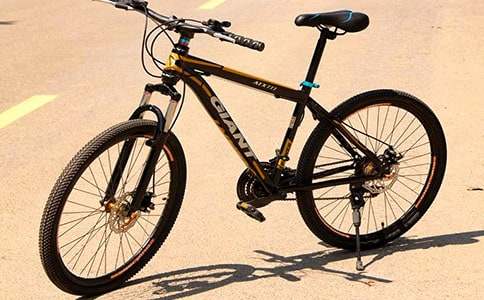 學(xué)自行車作文