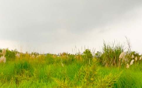 《走進和諧的春天》讀后感