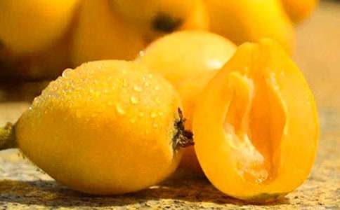 枇杷樹(shù)作文