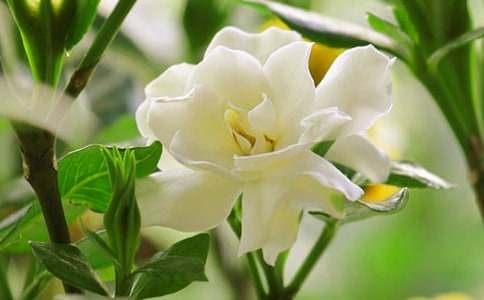 �茑�d�ӻ�������