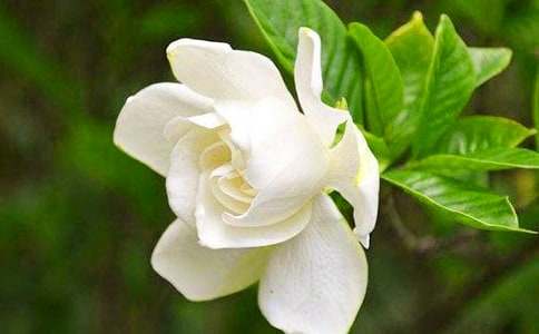 �d�ӻ��_����(��10ƪ)