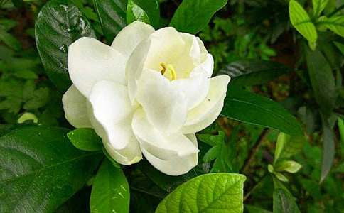 �d�ӻ��ĉ�(m��ng)����