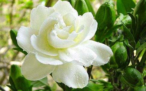 �d�ӻ����Bֳ������ע���������Щ