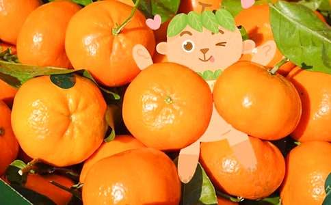 ���Ӿ���ʹ��