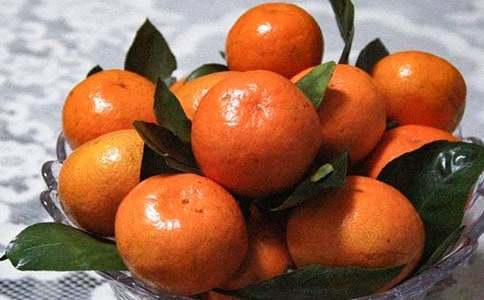 �x������ζ�����졷�и�