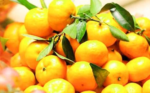 贊美長沙橘子洲頭風(fēng)景的文案120句