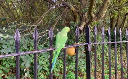 �ɐ۵��W�^���ľ��A(15ƪ)