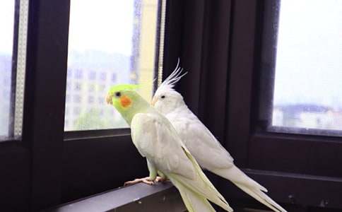 С�W�^����