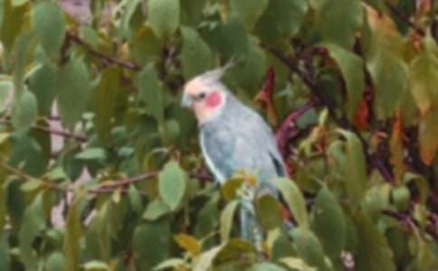 ��Ƥ�W�^����[�؂�]