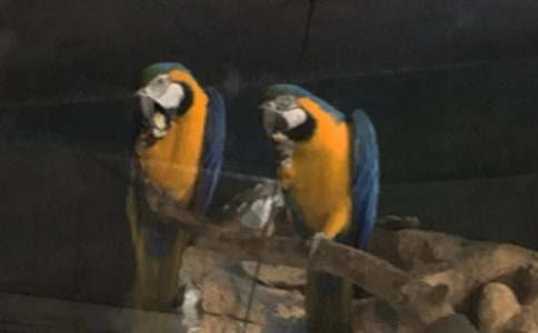 �ҵČ����W�^С�W����