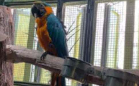 �ҼҵĻ�Ƥ�W�^����