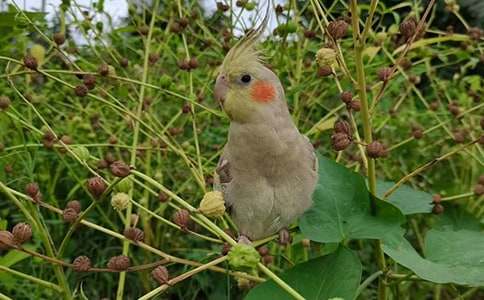 �W�^������[���x]