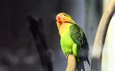 ��Ƥ�W�^����15ƪ