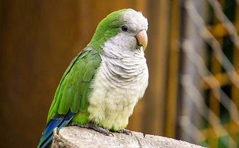 ��Ƥ�W�^���ąR��(15ƪ)