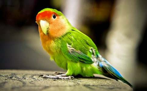 �����W�^��B�İ˴�Ҫ�c