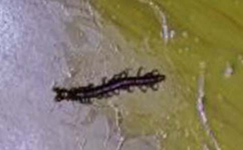 �i���������i�Z��ȫ