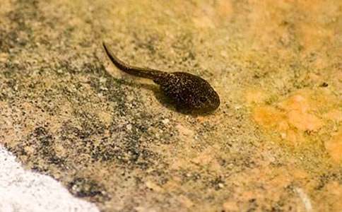 С����ҋ����u�n��4ƪ����(y��u)�㡿