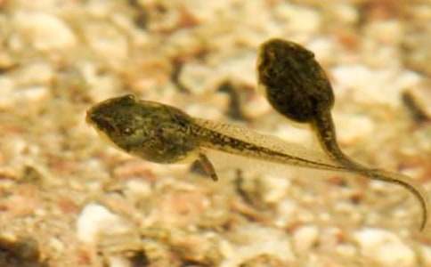 ץ������ġ���(sh��)��15ƪ��