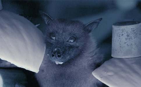 ����������_���u�n��