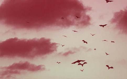 �����A����������_(d��)�u(p��ng)�n��