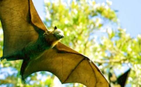 �������c���_���̌W���