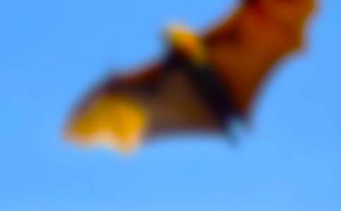 ����������_(d��)���̌W(xu��)�O(sh��)Ӌ(���A9ƪ)