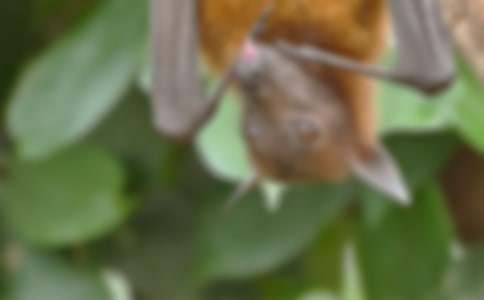 ��������_(d��)�u(p��ng)�n���ȫ3ƪ