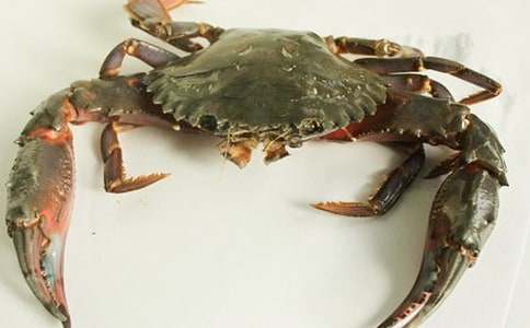 螃蟹蟹心吃了怎么辦