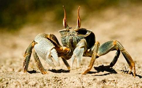 �������з�����̰�7ƪ