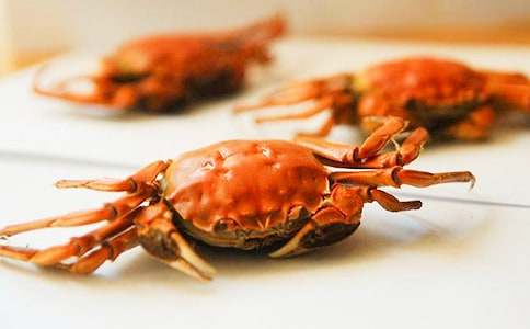 《廢舊物品制作螃蟹》教案