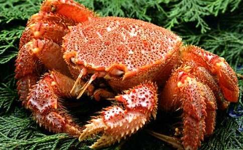 ���з�^(gu��)����ô�k��