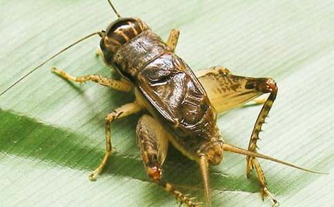 �����סլ���u�n�壨���x10ƪ��