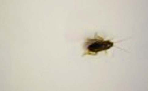 ����L������