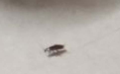 �����ӛ����