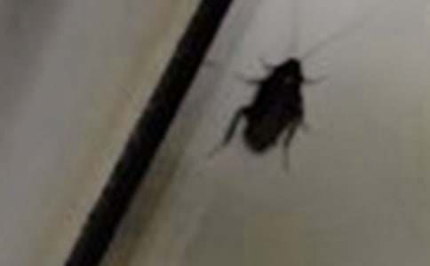 ��������ġ�����3ƪ��