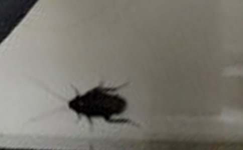 �������ķ���