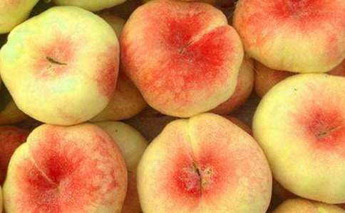 ������f���£���ҕ�