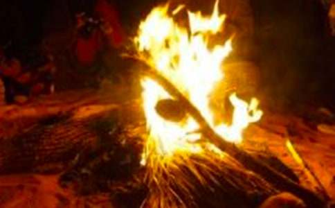 �����x�������������3ƪ