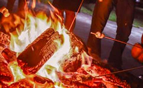 �����������15ƪ