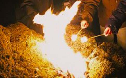 �������(hu��)���ģ�����15ƪ��