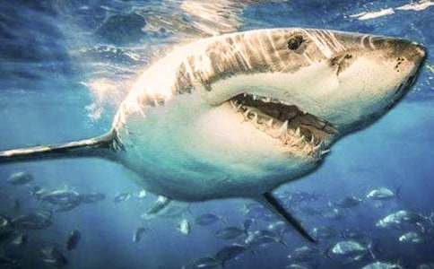 ���~����������