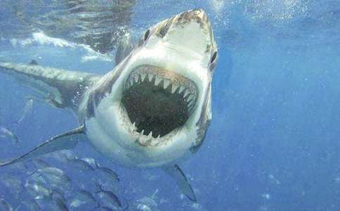 ���P���~������