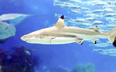 ���~������