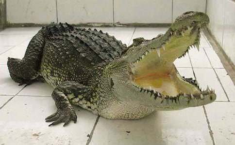 �{�~���V������