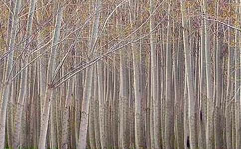 ���ח�Yٝ���̌W�OӋ15ƪ