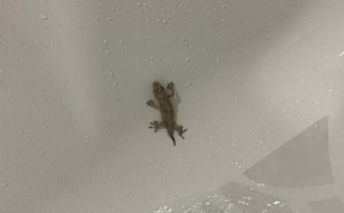 ��С�ڻ���β�͡��̌W�OӋ(�ϼ�)