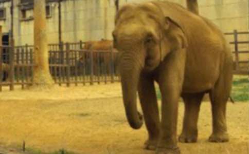 ��������ۜI���x���(���\10ƪ)