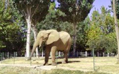 С��ˇ�g�̰��������С�B