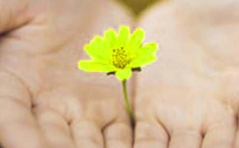 最新給女朋友道歉的檢討書(shū)